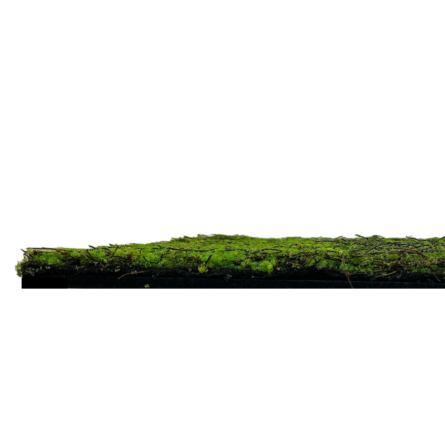 Jangal Wandpaneel Forest Green Ancient Tree, modulare Wanddekoration mit Baumdesign, 52x52 cm, natürliche grüne Pflanzenoptik