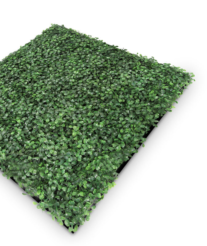 Jangal Wandpaneel Flora in dunklem Grün mit Buxus-Design, 52 x 52 cm, modulare Pflanzenwand für Innenräume