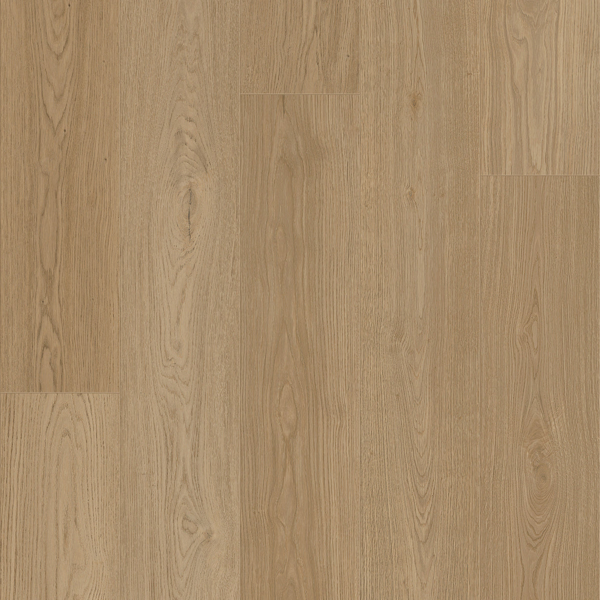 COREtec Tytan Atlas Dekor, natürliche, honigfarbene Eiche, Klick-Vinyl PVC-frei