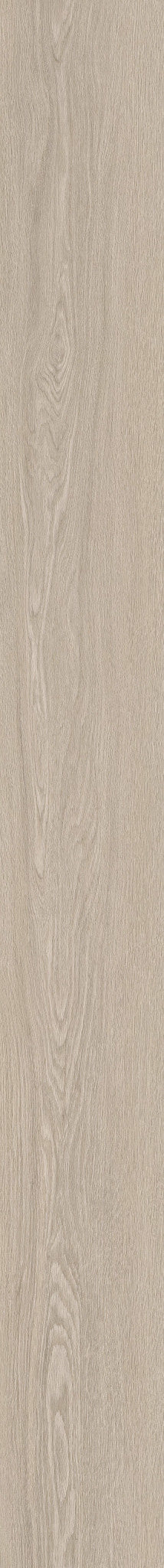COREtec Tytan Asteria Einzeldiele 2200 x 230 mm, weiß gekalkte, hellgraue Eiche