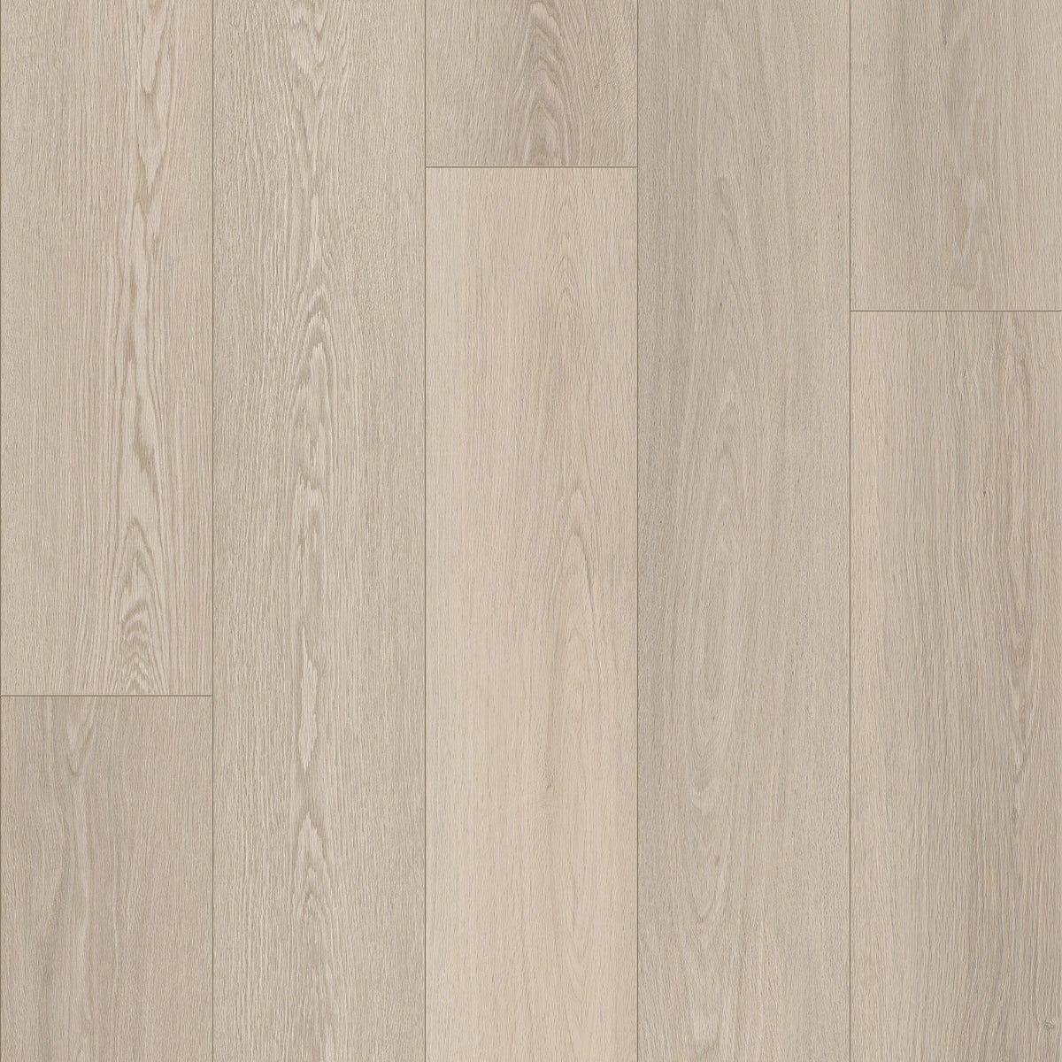 COREtec Tytan Asteria Dekor, weiß gekalkte, hellgraue Eiche, Klick-Vinyl PVC-frei