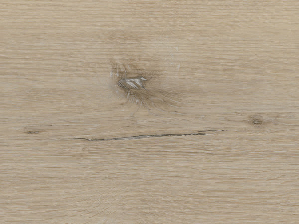 CHECK expert Hellweg Eiche, Klebevinyl in Holzoptik