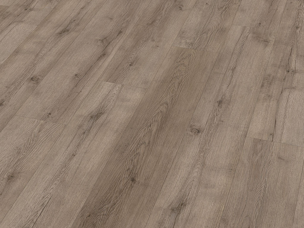 CHECK One Terpe Eiche, Klickvinyl in Holzoptik