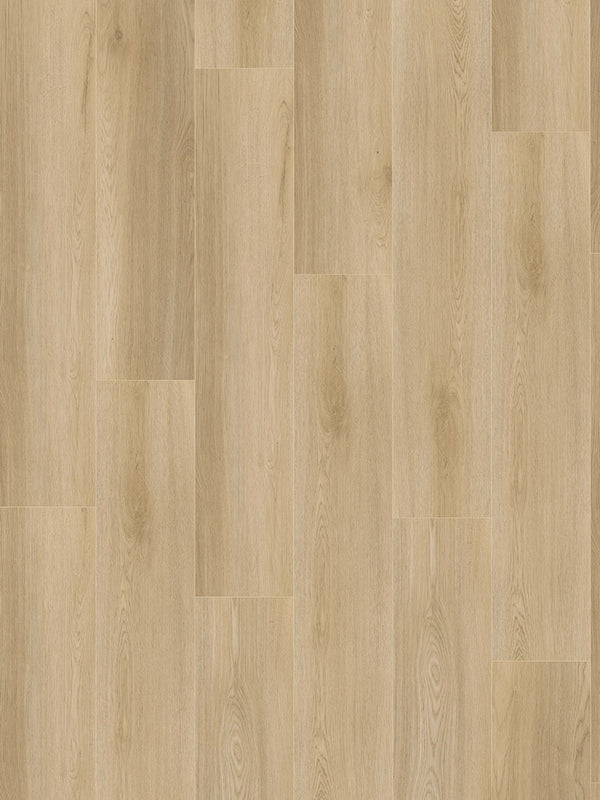 CHECK One Morbach Eiche, Klickvinyl in Holzoptik