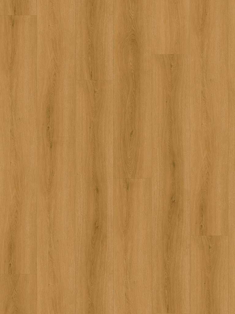 CHECK Klebevinyl Tordera Eiche, Klebevinyl in Holzoptik