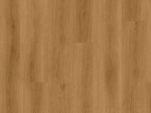 CHECK expert Albera Eiche, Klebevinyl in Holzoptik
