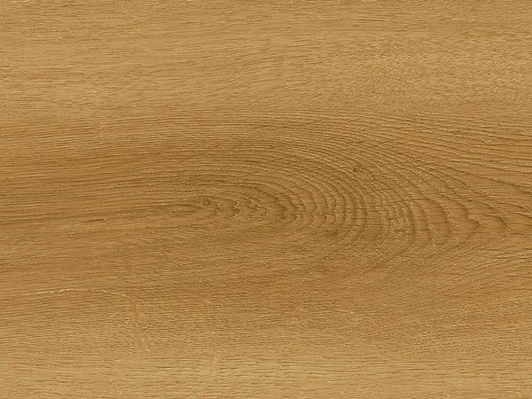 CHECK Klebevinyl Albera Eiche, Klebevinyl in Holzoptik