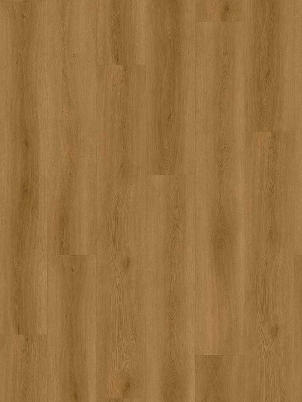 CHECK Klebevinyl Albera Eiche, Klebevinyl in Holzoptik