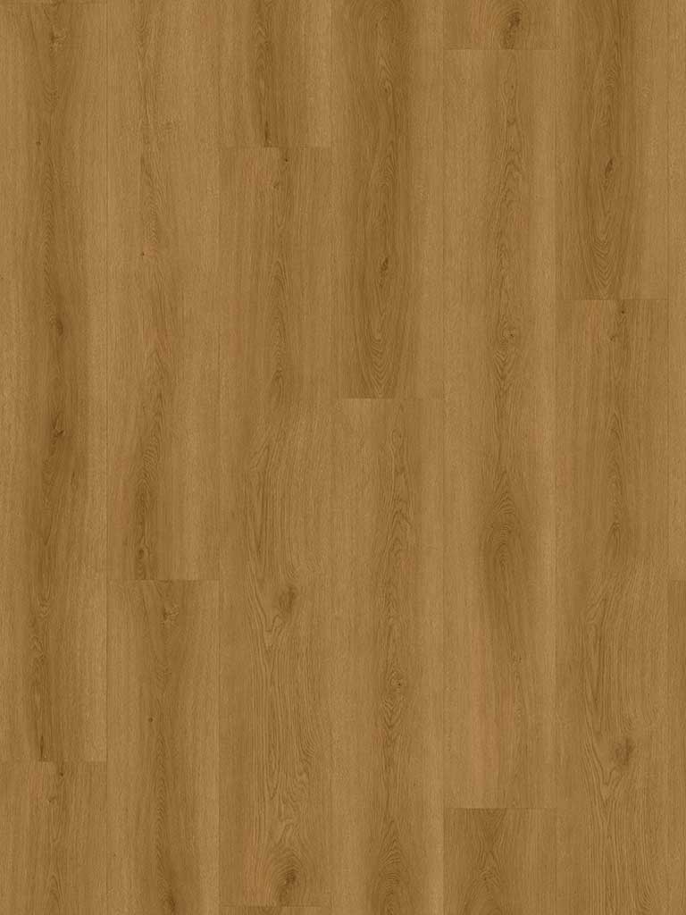 CHECK Klebevinyl Albera Eiche, Klebevinyl in Holzoptik