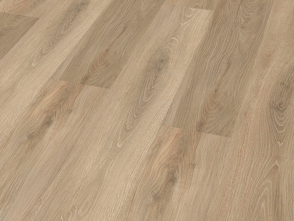 CHECK expert Montnegre Eiche, Klebevinyl in Holzoptik