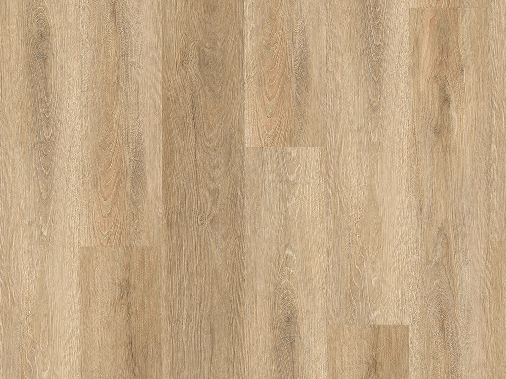 CHECK Klebevinyl Montnegre Eiche, Klebevinyl in Holzoptik