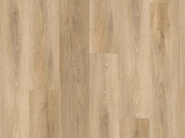 CHECK Klebevinyl Montnegre Eiche, Klebevinyl in Holzoptik