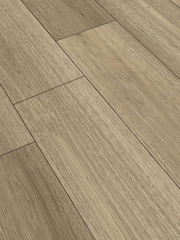 World of Dryback New Orleans Oak, Klebevinyl in Holzoptik