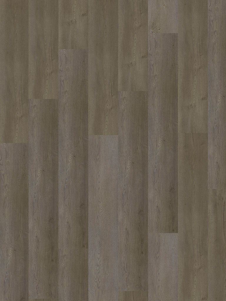 World of SPC Ferndale Oak, Klickvinyl in Holzoptik