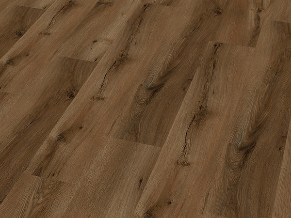 World of SPC Seligman Oak, Klickvinyl in Holzoptik