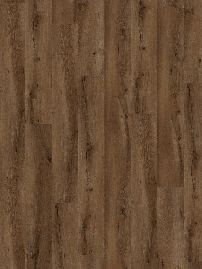 World of SPC Seligman Oak, Klickvinyl in Holzoptik