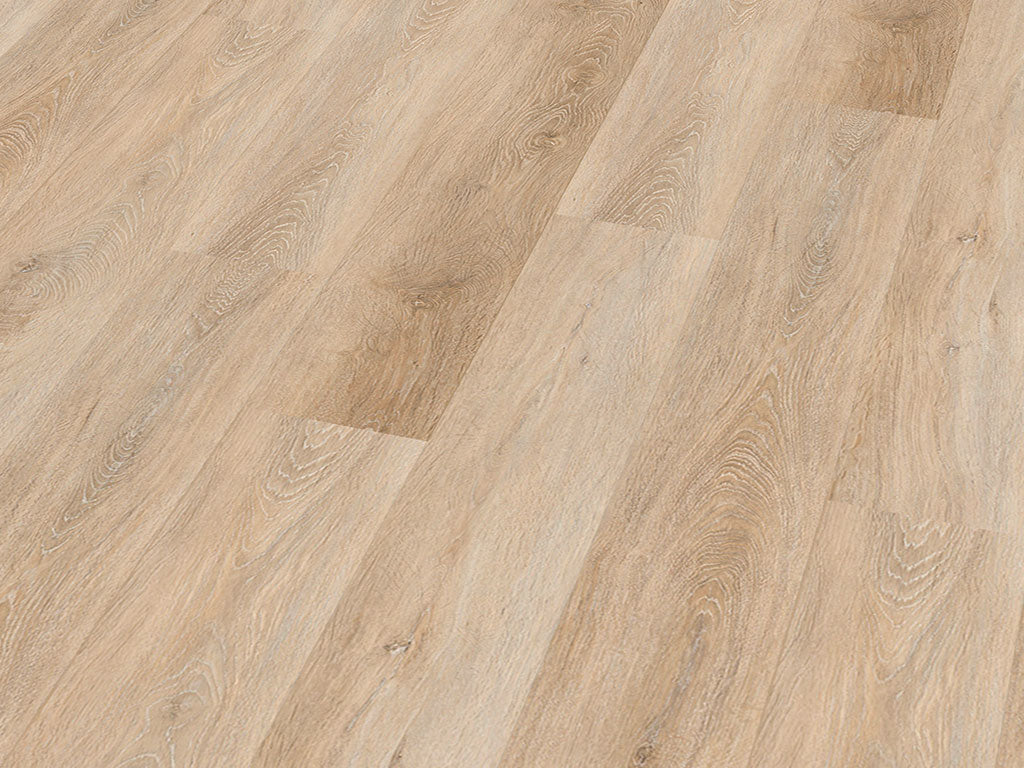 CHECK SPC Tripolis Eiche, Klickvinyl in Holzoptik