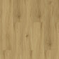 CHECK PET Levitas Eiche, Klickvinyl in Holzoptik