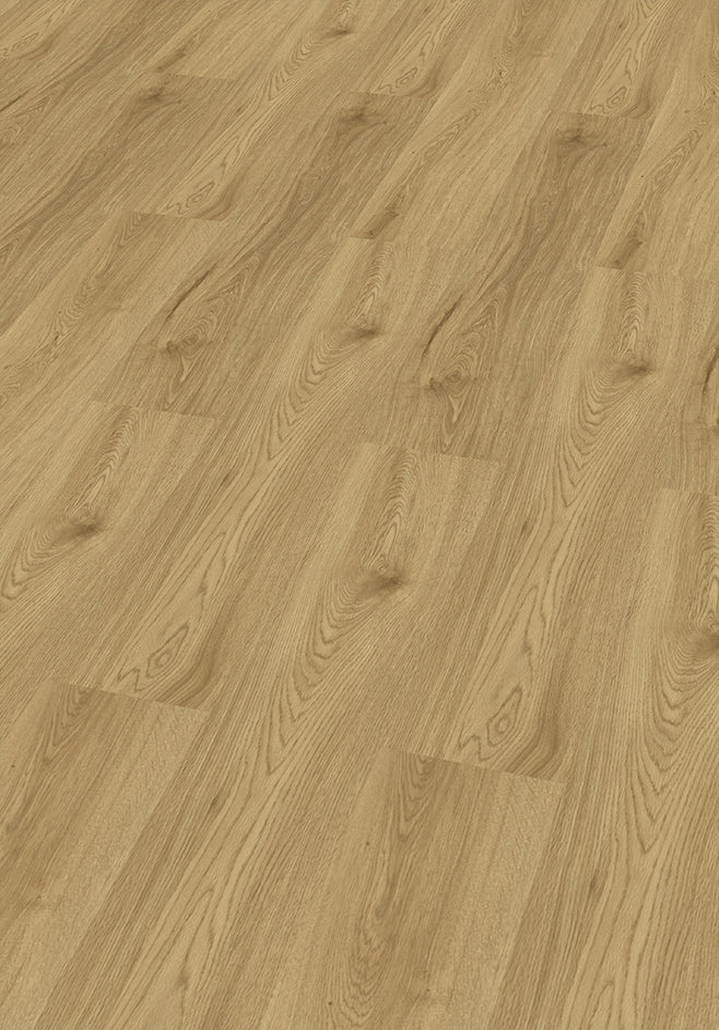 CHECK PET Levitas Eiche, Klickvinyl in Holzoptik