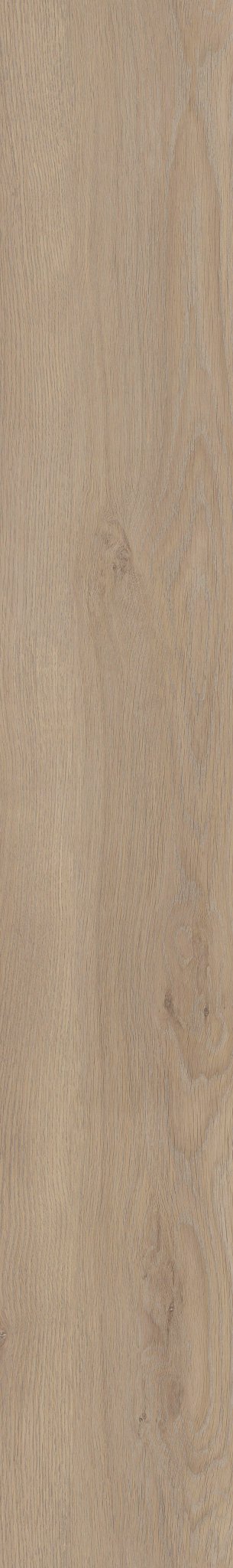 COREtec Flexile Meadow 50 FLX 807 Klebevinyl, Vinylboden mit Holzoptik, detailreiche Textur und natürliche Farbgebung