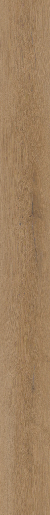 COREtec Authentics 1800 Vinylboden in Moraine, 4V E, zeigt die Holzoptik und strukturierte Oberfläche des Vinylbodens.
