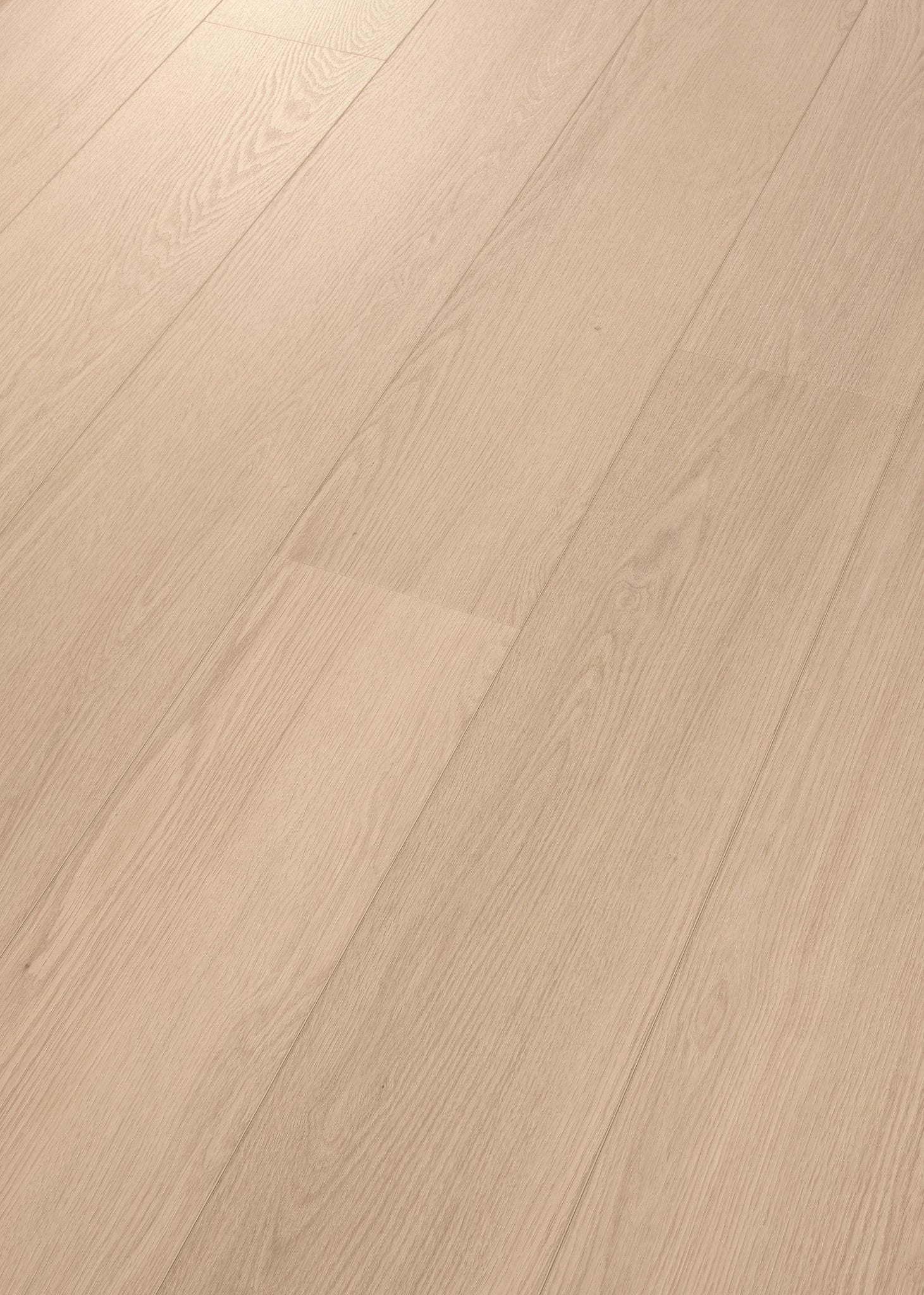 COREtec Vinylboden XL-END Bled 50 LVREXL 5152, geölte Oberfläche, geneigt aufgenommen, langlebiges Design, hochwertiges Vinyl.